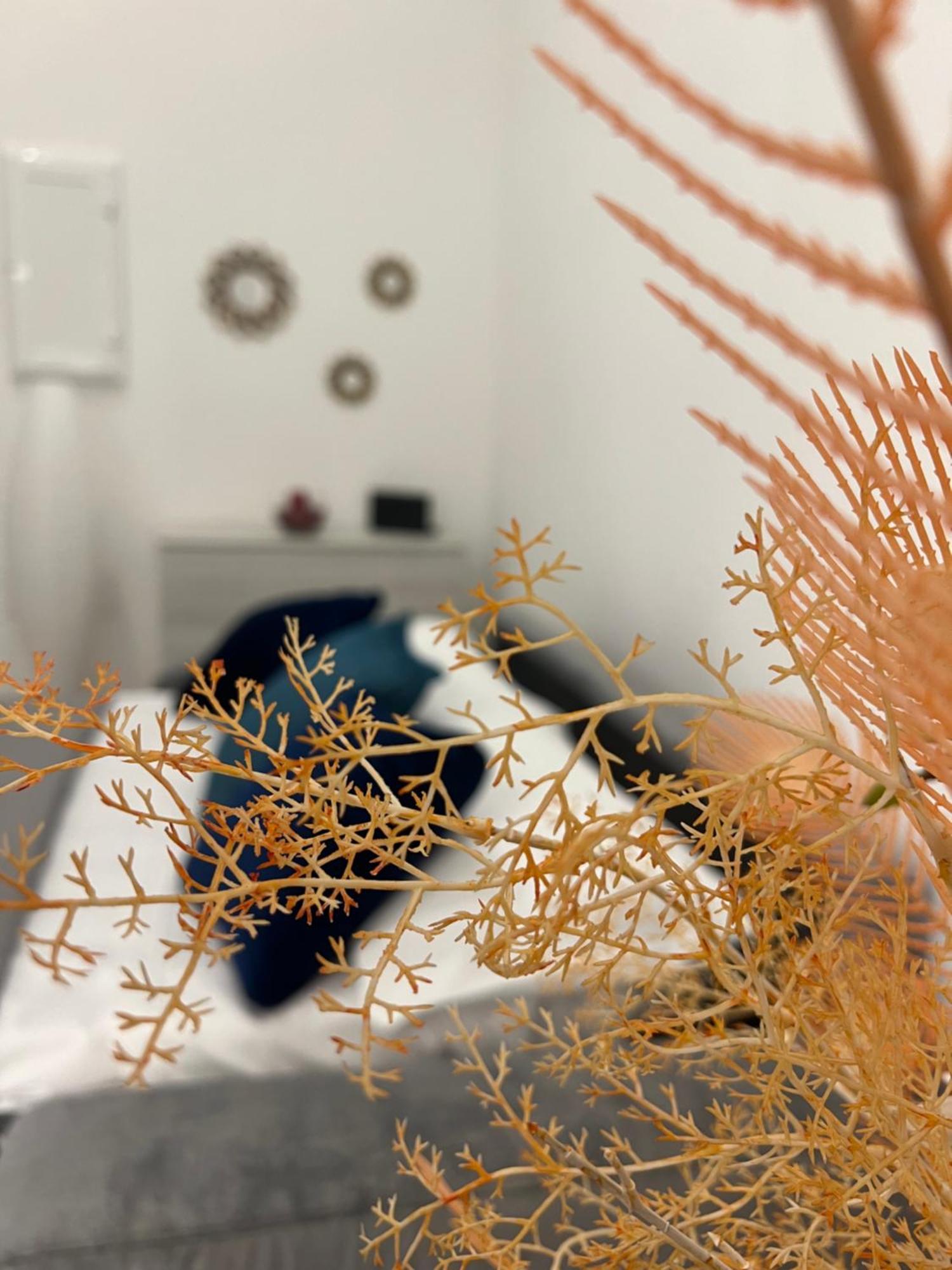 Apartament Che Casa Neapol Zewnętrze zdjęcie